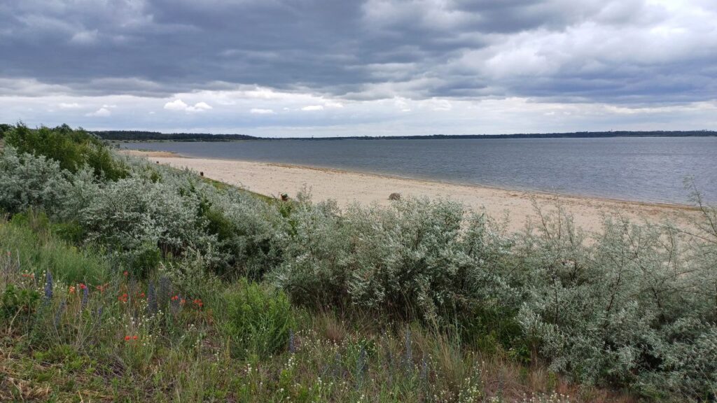 Bild mit Strand und Meer